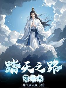 踏天境界是第几步